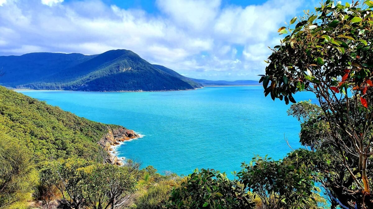 Turquoise bay and forested headland at Wilsons Promontory