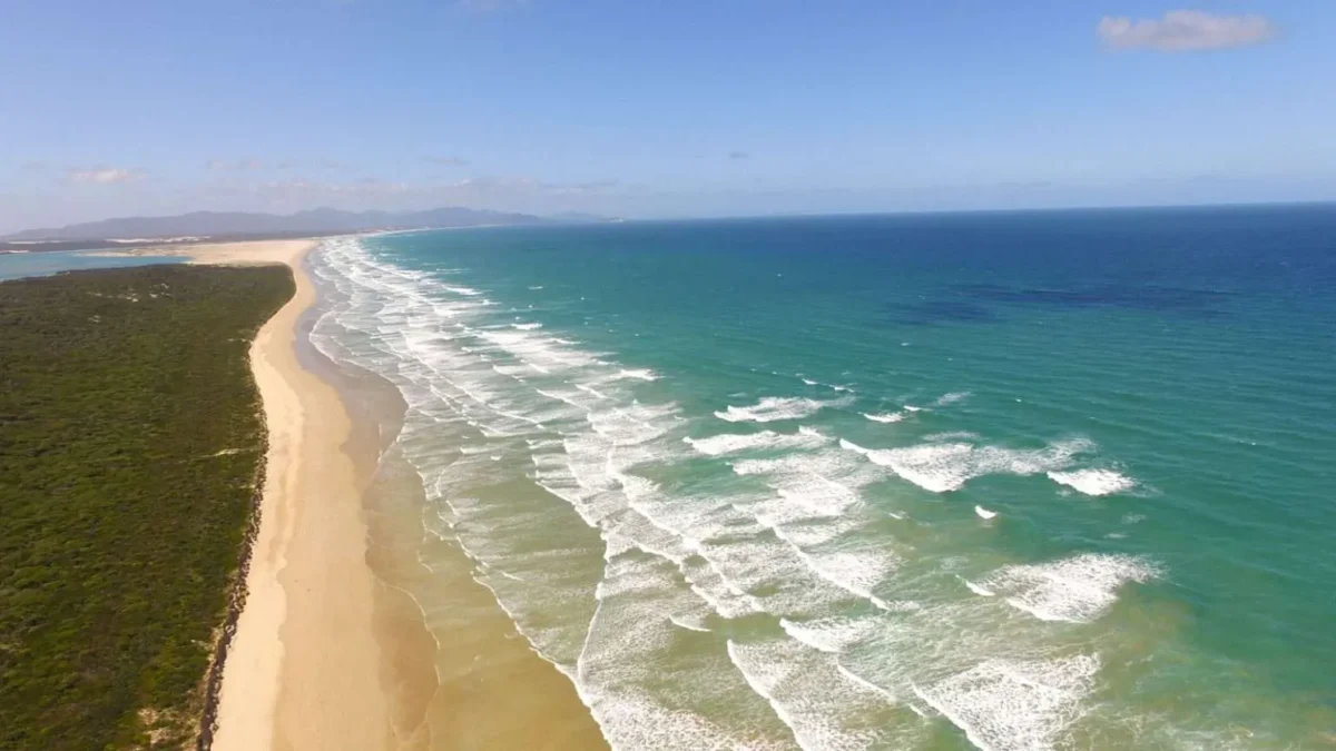 Aerial view of waves rolling onto the beach at Sandy Point