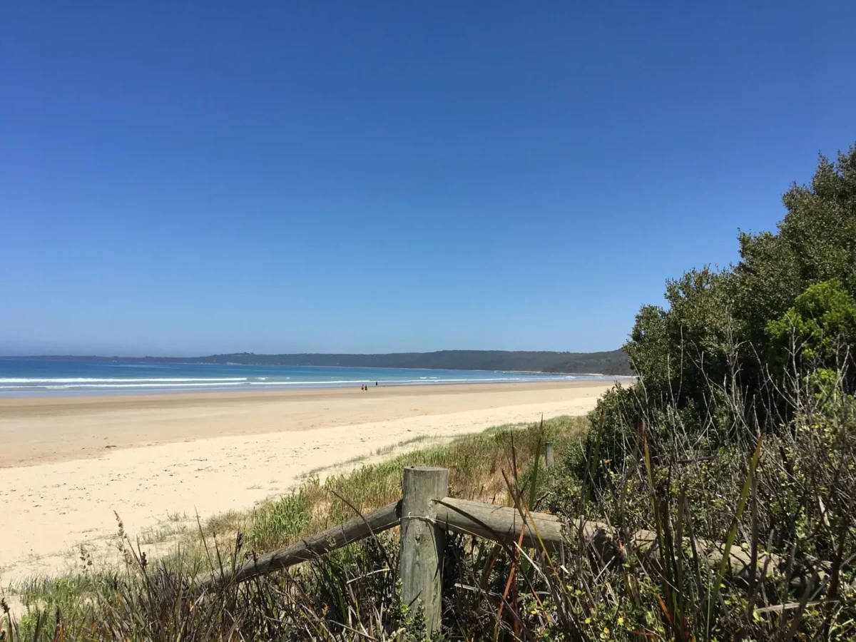 Looking along the beach at Waratah Bay from the dunes